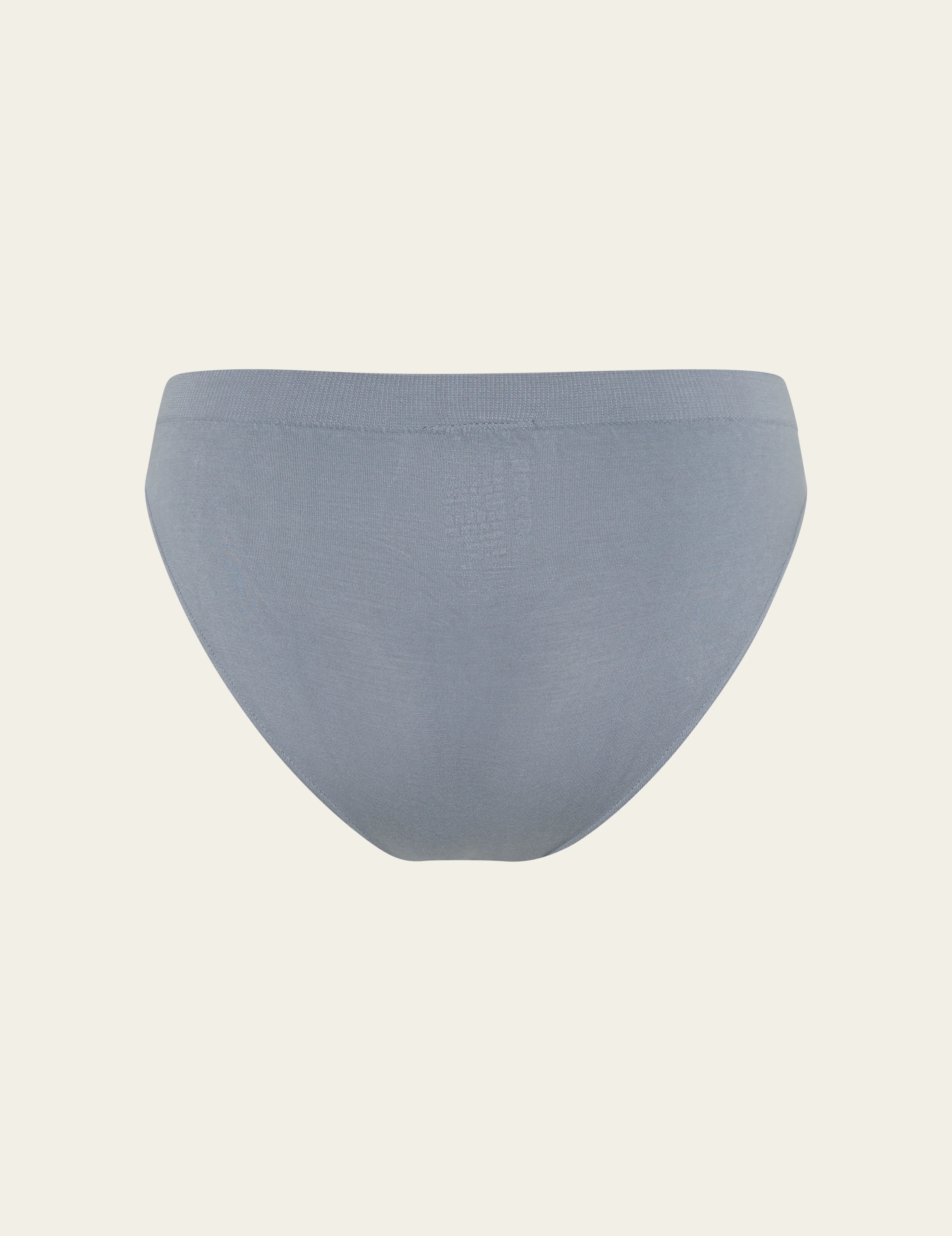 Classic Bikini - Dusty Blue - Image 6